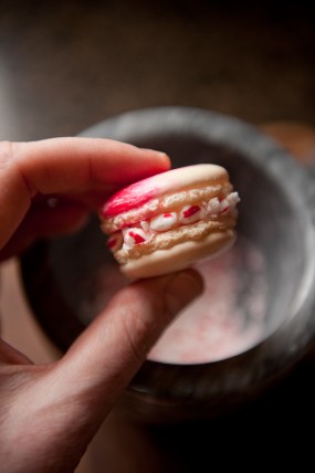 macaron-step-by-step-tutorial-stacy-able-photography-dip-in-crushed-candy-canes