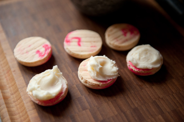 macaron-step-by-step-tutorial-stacy-able-photography-fill-with-buttercream