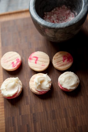 macaron-step-by-step-tutorial-stacy-able-photography-macarons-and-crushed-candy-canes