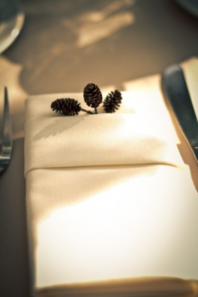 alder-cones-wedding-napkins