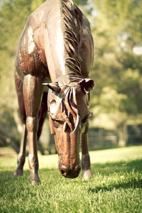 calamigos-ranch-horse