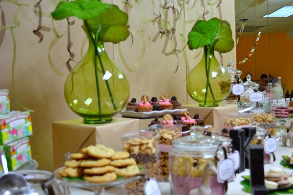 safari baby shower treats