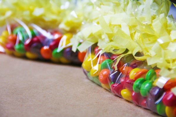 diy-ziplock-bag-party-favors