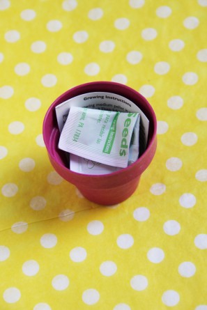 seed-kit-place-cards