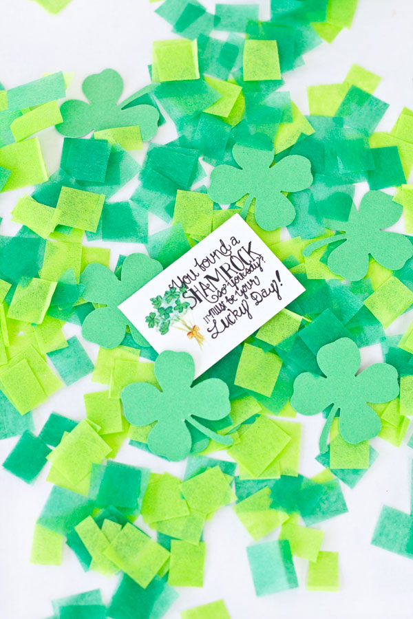 Free Printable Leprechaun Notes for St. Patrick's Day