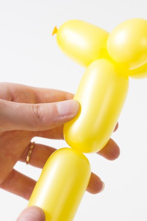 How To Make a Balloon Animal Dog