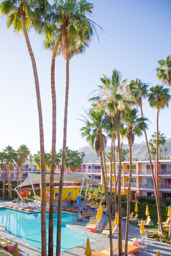 Rainbow Hotel | Saguaro Palm Springs