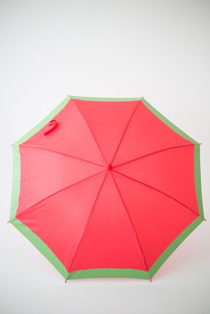 DIY Fruit Slice Umbrellas