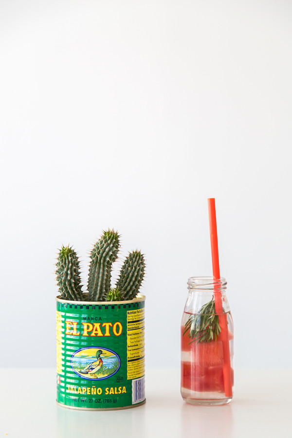 Cactus in a Can