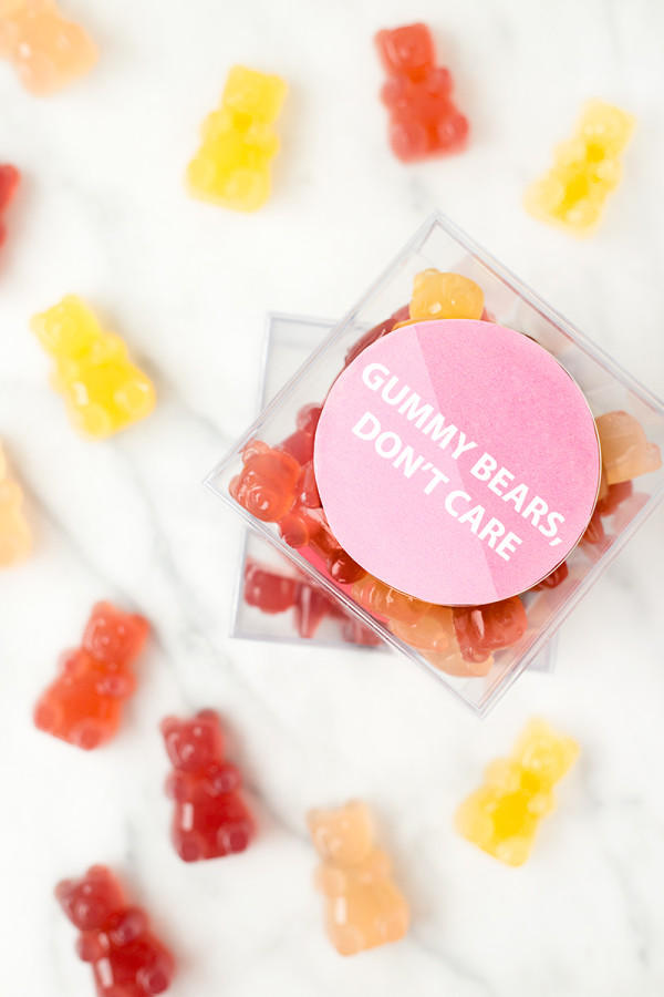 Do-It-Yourself Gummy Bears Recipe