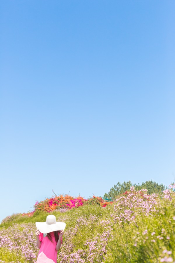 The Flower Fields at Carlsbad Are an Instagram Dream