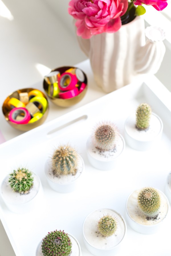 DIY Cactus Favors in PVC Pipe!