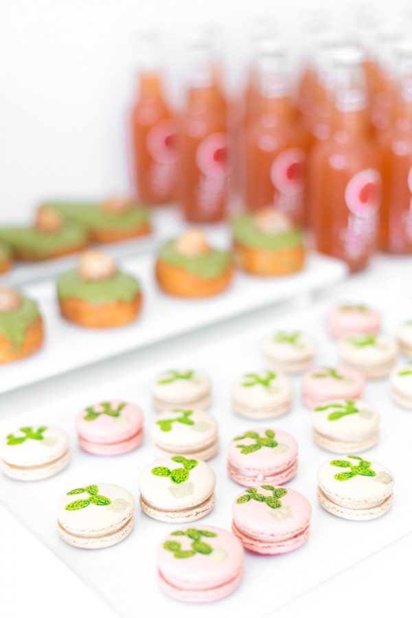 Cactus macarons on a plate