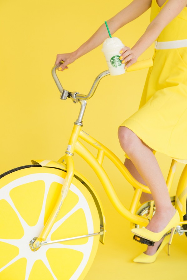 DIY Lemon Photobooth Bike Prop