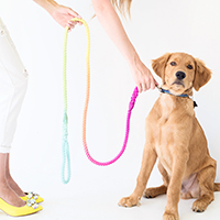 DIY Technicolor Dog Leash