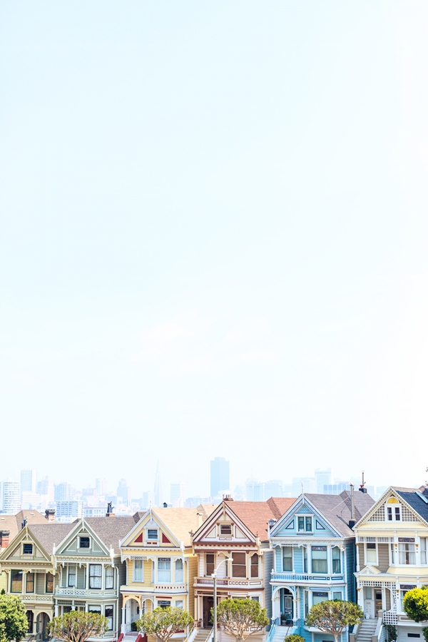 The Painted Ladies