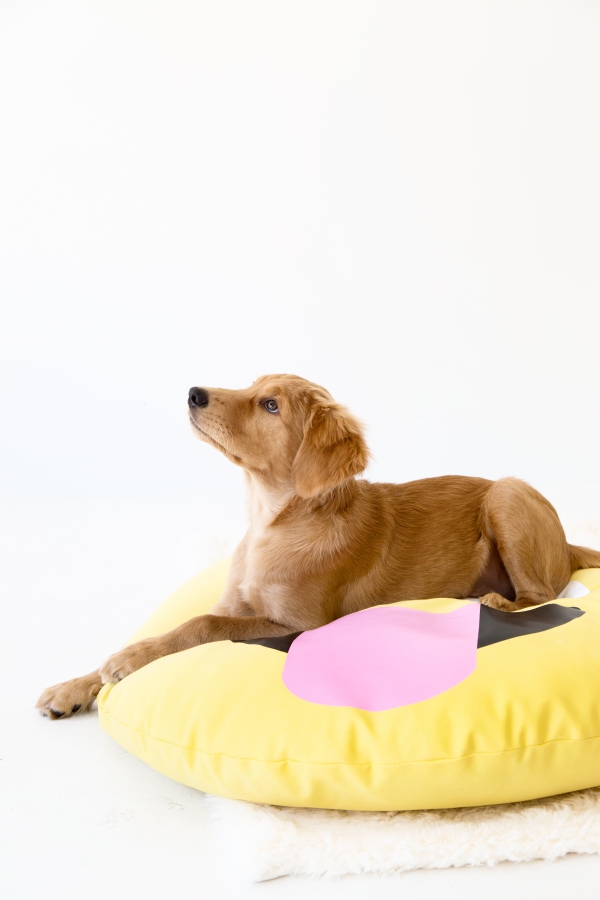 A dog on an emoji pillow