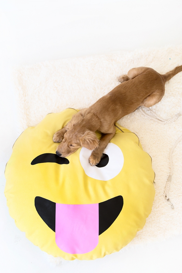 A dog on an emoji pillow