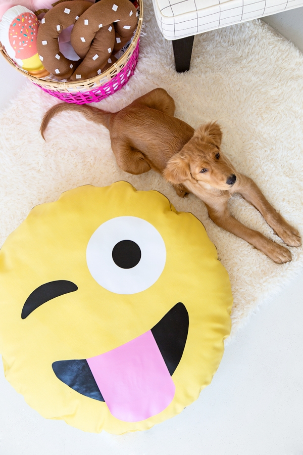 A dog on an emoji pillow