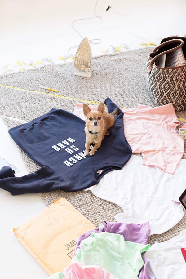 A dog sitting on clothes