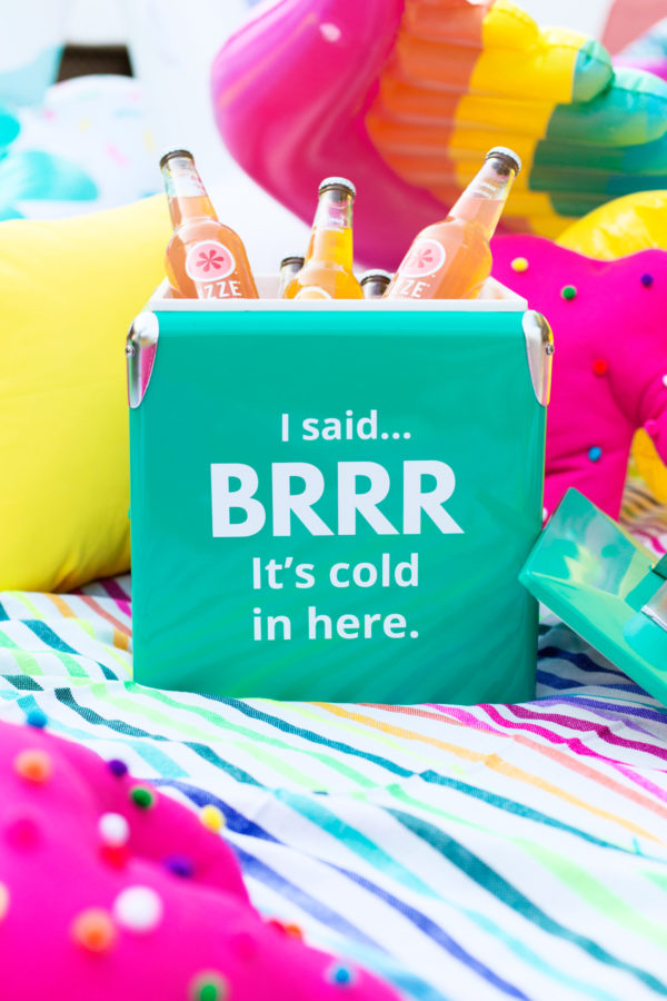 I SAID! Brr... It's Cold In Here Cooler | studiodiy.com