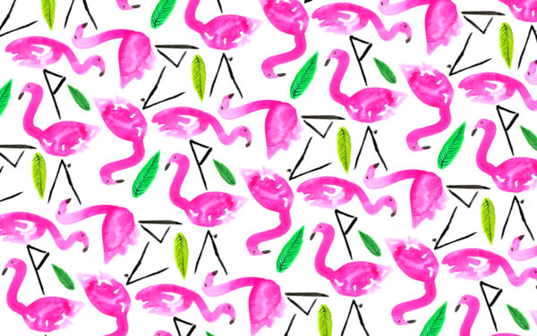 Flamingo background