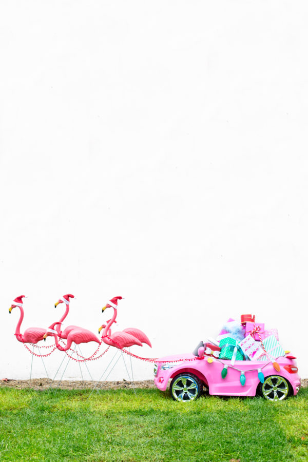 Flamingos and a mini pink car
