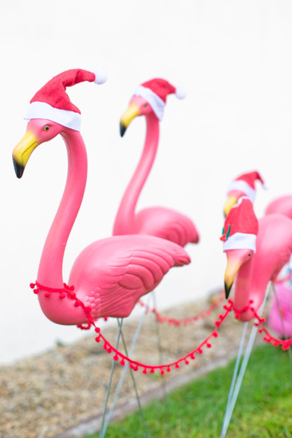 Flamingos in Santa hats