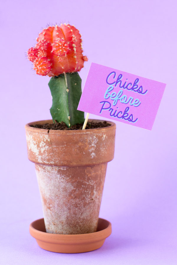 Chicks Before Pricks | Five Minute Free Printable Valentines