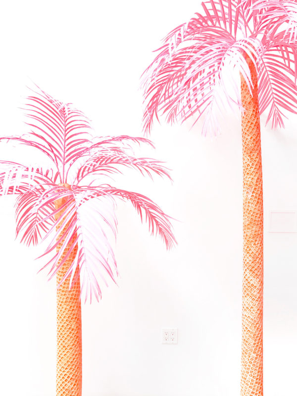 Pink palm trees
