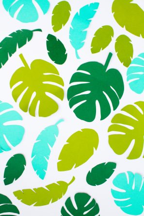 Tropical paper leaves 
