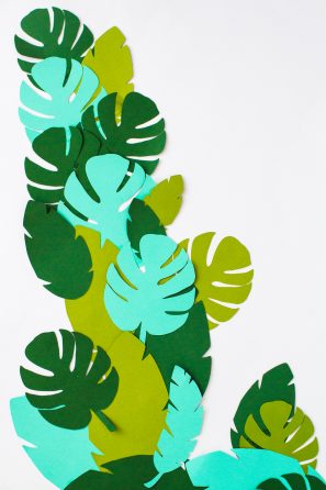 jungle leaf cut outs