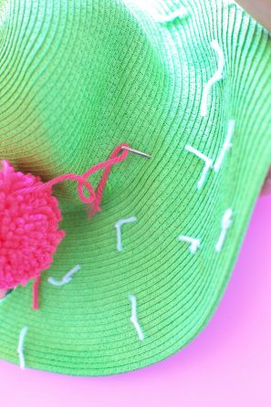 CACTUS HAT BY THE KNOTTY BOSS - Hobium Yarns Blog