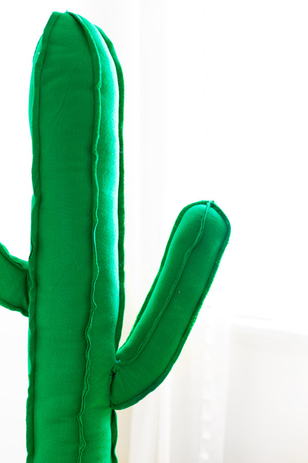 A close up of a cactus toy