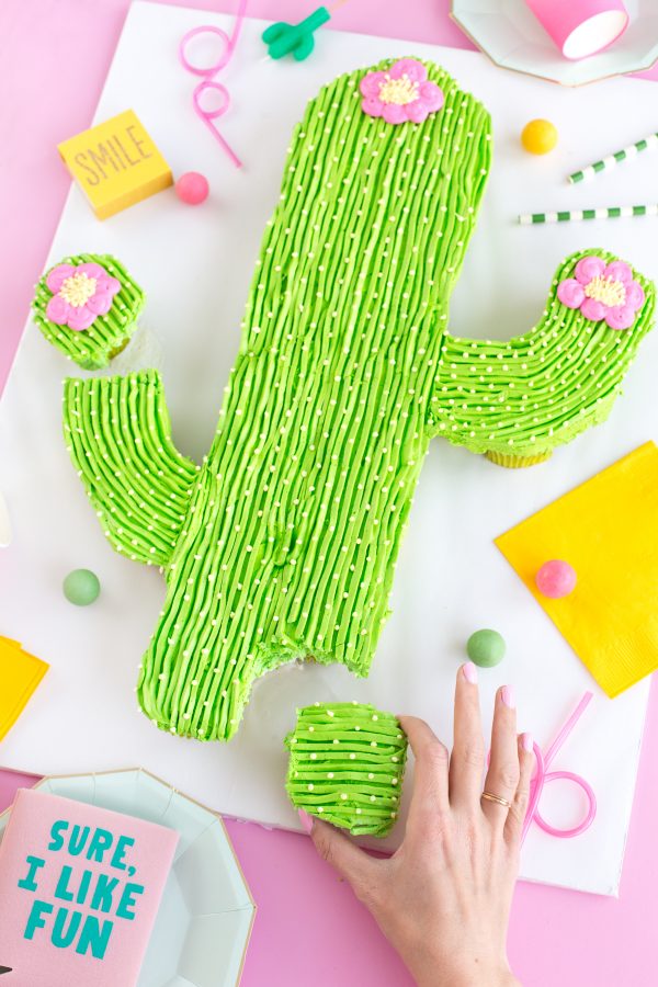 A cactus cake