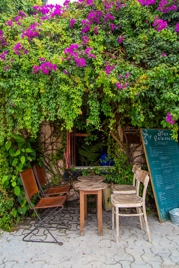 A table under plants