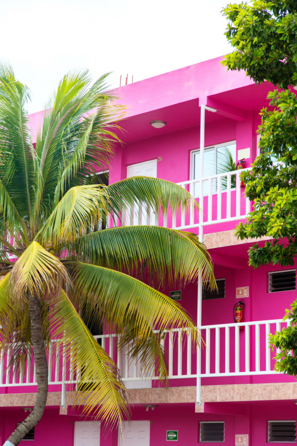 Pink building and plants
