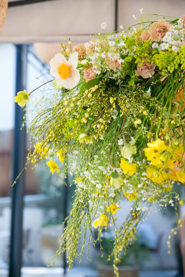 Close up of flowers