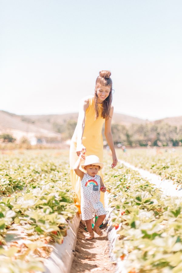 Two people standing in a field