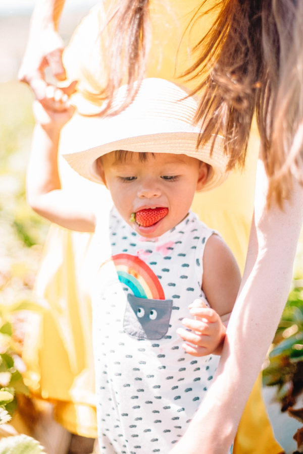 A little boy eating a strawberry