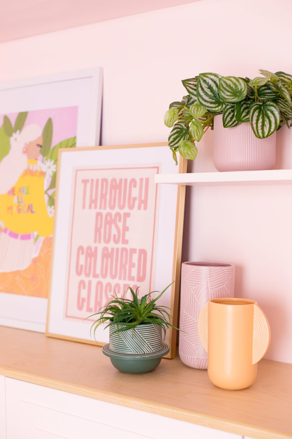 Close up of plants and pink pots