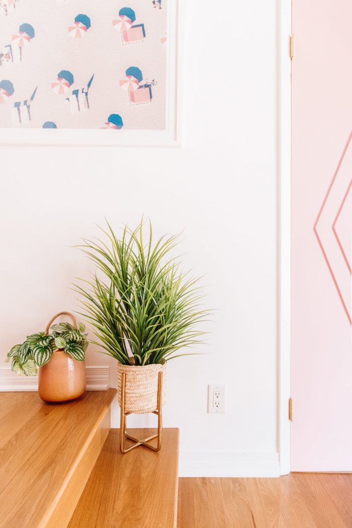 Plants on stairs