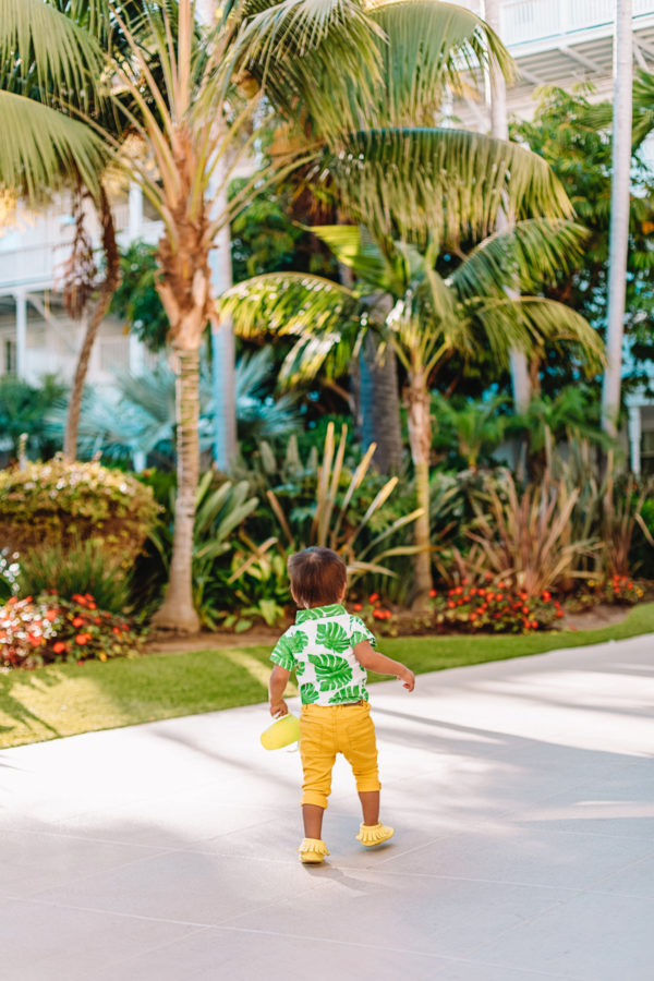 A person standing next to a palm tree