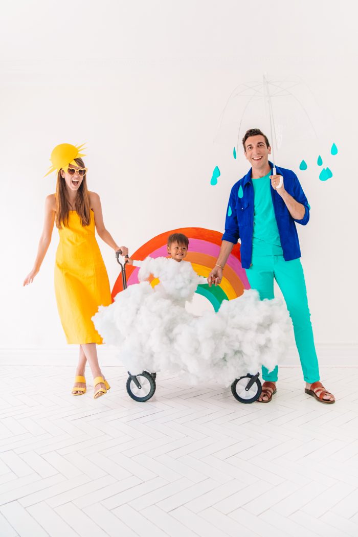 DIY Family Weather Costume