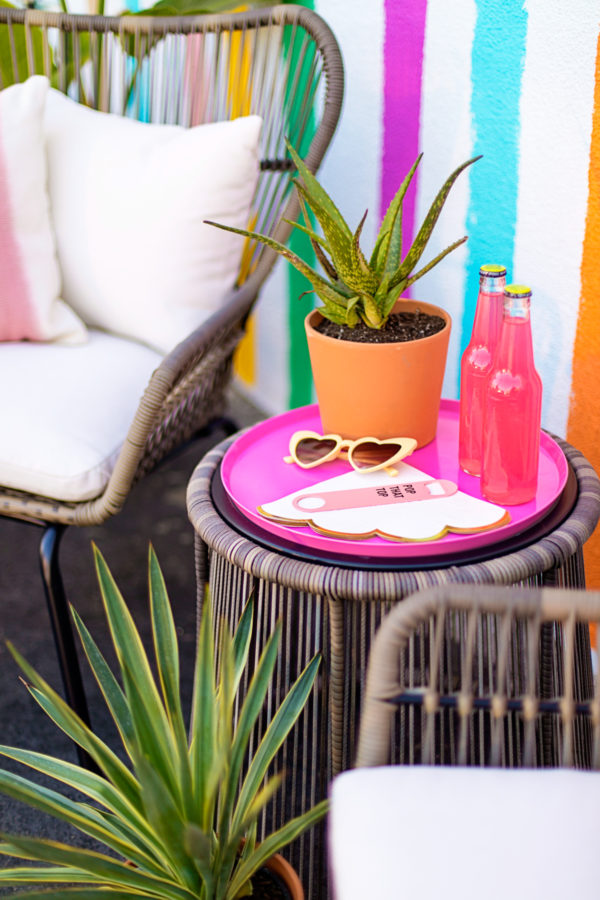 Two bottles, glasses, and a plant on a table