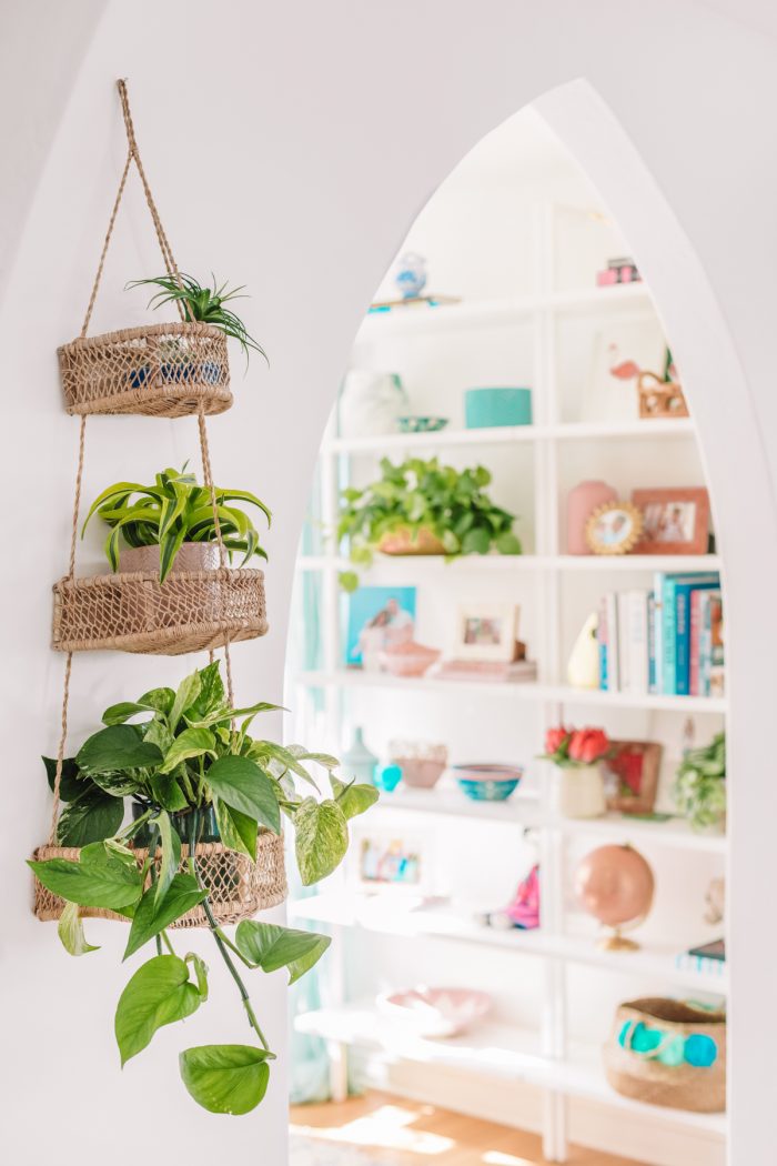 Hanging plants