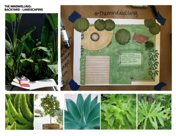 The Mindwelling - Backyard Plants Plan