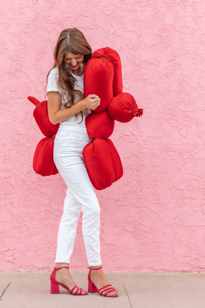 DIY Balloon Animal Costume Studio DIY