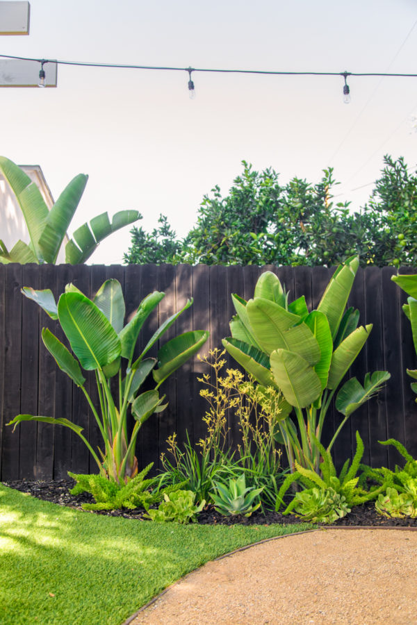 Colorful, Tropical Backyard Makeover