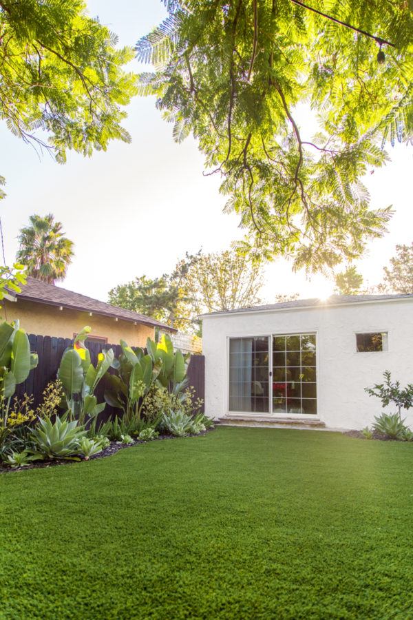 Colorful, Tropical Backyard Makeover